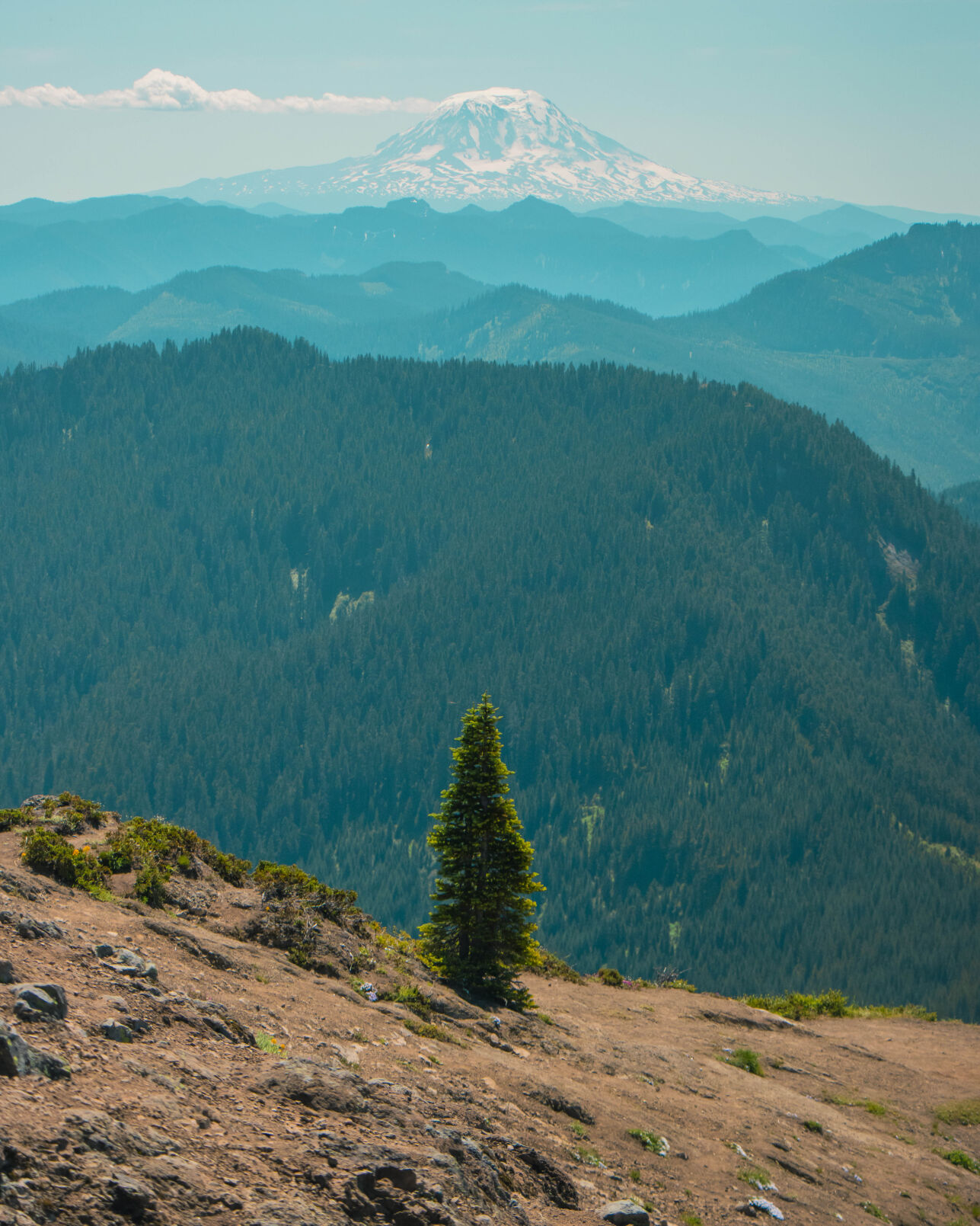 High Rock Lookout
